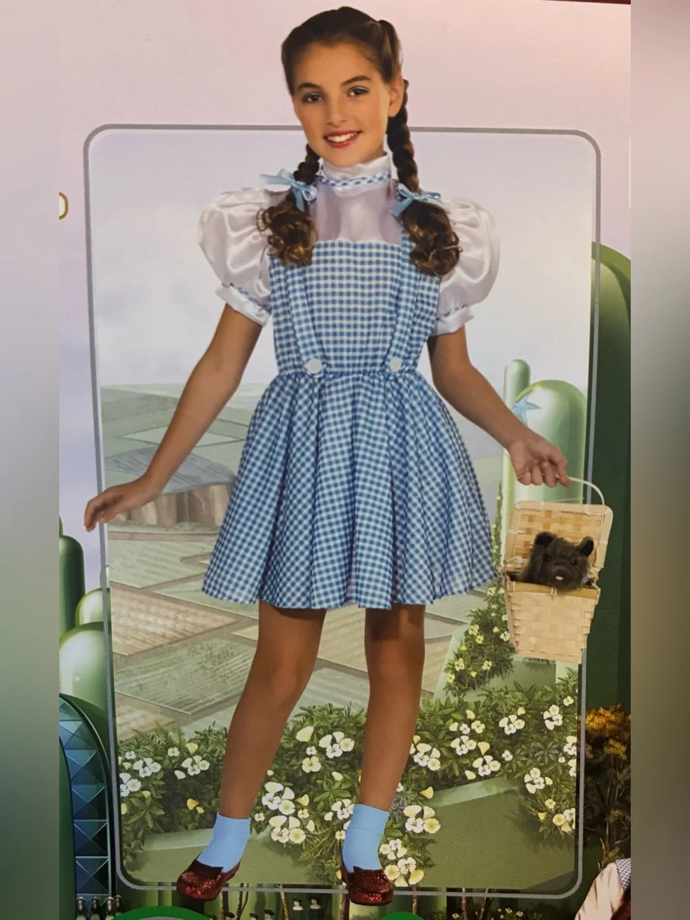 Rubies The Wizard of Oz Dorothy Costume Dress